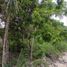  Grundstück zu verkaufen in Othon P Blanco, Quintana Roo, Othon P Blanco