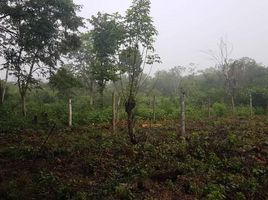  Grundstück zu verkaufen in Othon P Blanco, Quintana Roo, Othon P Blanco