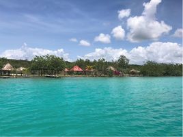  Grundstück zu verkaufen in Othon P Blanco, Quintana Roo, Othon P Blanco