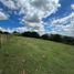  Land for sale in Emiliano Zapata, Veracruz, Emiliano Zapata