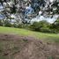  Land for sale in Emiliano Zapata, Veracruz, Emiliano Zapata