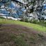  Land for sale in Emiliano Zapata, Veracruz, Emiliano Zapata