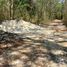  Land for sale in Tekom, Yucatan, Tekom