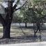  Land for sale in Mineral Del Chico, Hidalgo, Mineral Del Chico