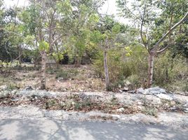  Grundstück zu verkaufen in Othon P Blanco, Quintana Roo, Othon P Blanco