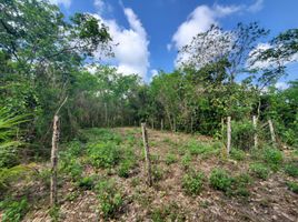  Terrain for sale in Othon P Blanco, Quintana Roo, Othon P Blanco