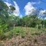  Terrain for sale in Quintana Roo, Othon P Blanco, Quintana Roo