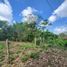  Terrain for sale in Othon P Blanco, Quintana Roo, Othon P Blanco