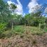  Terrain for sale in Othon P Blanco, Quintana Roo, Othon P Blanco