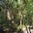  Land for sale in Valladolid, Yucatan, Valladolid