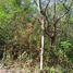  Land for sale in Valladolid, Yucatan, Valladolid