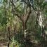  Land for sale in Valladolid, Yucatan, Valladolid
