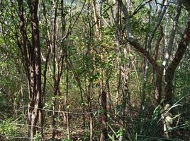  Land for sale in Valladolid, Yucatan, Valladolid