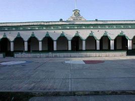  Land for sale in Tixkokob, Yucatan, Tixkokob