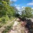  Land for sale in Tixkokob, Yucatan, Tixkokob
