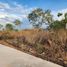  Terreno (Parcela) en venta en Merida, Yucatán, Merida, Yucatán