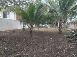  Grundstück zu verkaufen in Othon P Blanco, Quintana Roo, Othon P Blanco