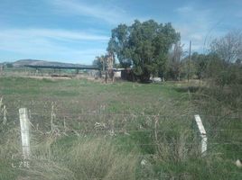  Land for sale in Jesus Maria, Aguascalientes, Jesus Maria