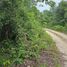  Terreno (Parcela) en venta en Felipe Carrillo Puerto, Quintana Roo, Felipe Carrillo Puerto