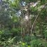  Land for sale in Othon P Blanco, Quintana Roo, Othon P Blanco