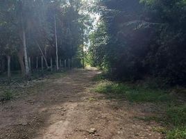  Land for sale in Othon P Blanco, Quintana Roo, Othon P Blanco