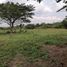  Land for sale in Carmen, Campeche, Carmen