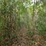  Land for sale in Othon P Blanco, Quintana Roo, Othon P Blanco