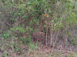  Land for sale in Othon P Blanco, Quintana Roo, Othon P Blanco