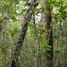  Land for sale in Othon P Blanco, Quintana Roo, Othon P Blanco