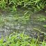  Land for sale in Othon P Blanco, Quintana Roo, Othon P Blanco