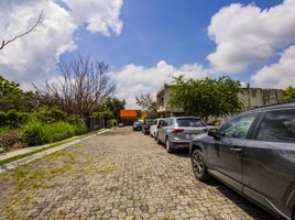  Grundstück zu verkaufen in Cuernavaca, Morelos, Cuernavaca