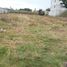  Land for sale in Tepetitla De Lardizabal, Tlaxcala, Tepetitla De Lardizabal