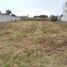  Land for sale in Tepetitla De Lardizabal, Tlaxcala, Tepetitla De Lardizabal