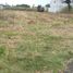  Land for sale in Tepetitla De Lardizabal, Tlaxcala, Tepetitla De Lardizabal