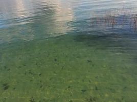  Grundstück zu verkaufen in Othon P Blanco, Quintana Roo, Othon P Blanco