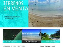  Grundstück zu verkaufen in Othon P Blanco, Quintana Roo, Othon P Blanco