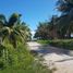  Grundstück zu verkaufen in Othon P Blanco, Quintana Roo, Othon P Blanco