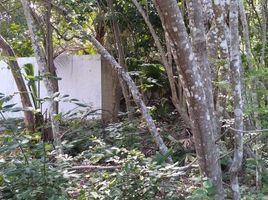  Grundstück zu verkaufen in Othon P Blanco, Quintana Roo, Othon P Blanco