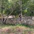  Terreno (Parcela) en venta en Othon P Blanco, Quintana Roo, Othon P Blanco