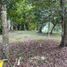  Terreno (Parcela) en venta en Othon P Blanco, Quintana Roo, Othon P Blanco
