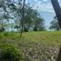  Terreno (Parcela) en venta en Othon P Blanco, Quintana Roo, Othon P Blanco