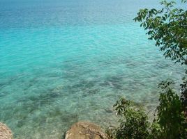  Terreno (Parcela) en venta en Othon P Blanco, Quintana Roo, Othon P Blanco