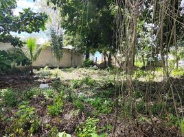  Grundstück zu verkaufen in Othon P Blanco, Quintana Roo, Othon P Blanco