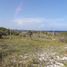Terrain à vendre à Othon P Blanco, Quintana Roo, Othon P Blanco