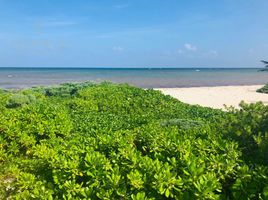 Terrain à vendre à Othon P Blanco, Quintana Roo, Othon P Blanco