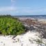 Terrain à vendre à Othon P Blanco, Quintana Roo, Othon P Blanco