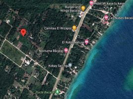  Grundstück zu verkaufen in Othon P Blanco, Quintana Roo, Othon P Blanco