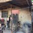  Grundstück zu verkaufen in Othon P Blanco, Quintana Roo, Othon P Blanco