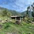  Land for sale in Acajete, Veracruz, Acajete