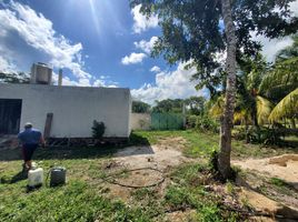  Terrain for sale in Quintana Roo, Othon P Blanco, Quintana Roo